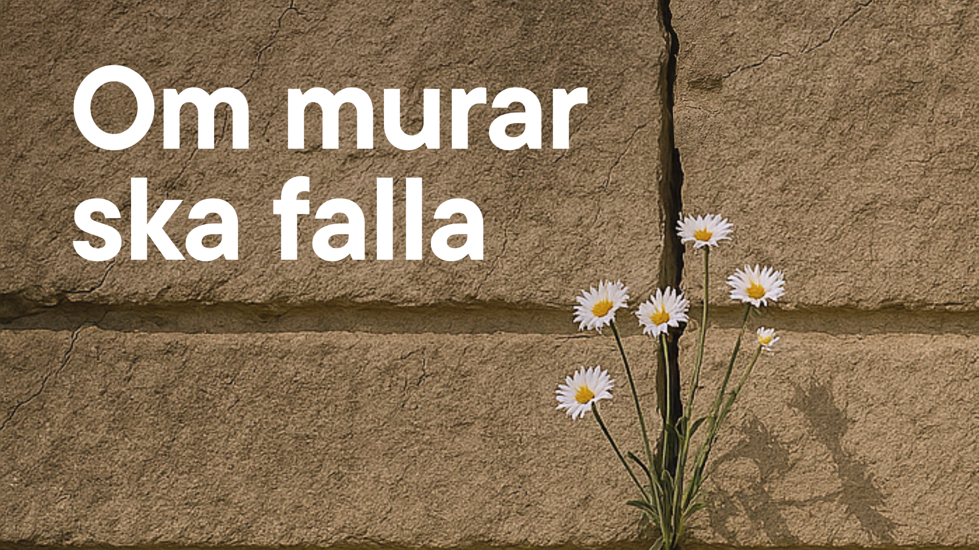 Om murar ska falla