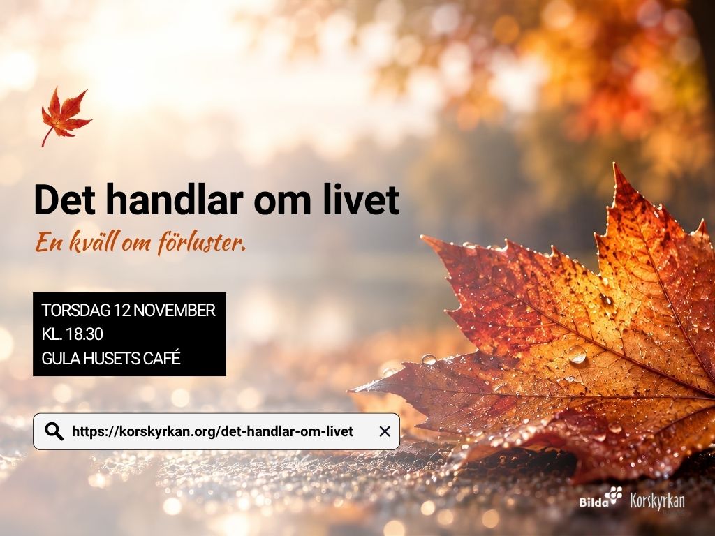 Det handlar om livet